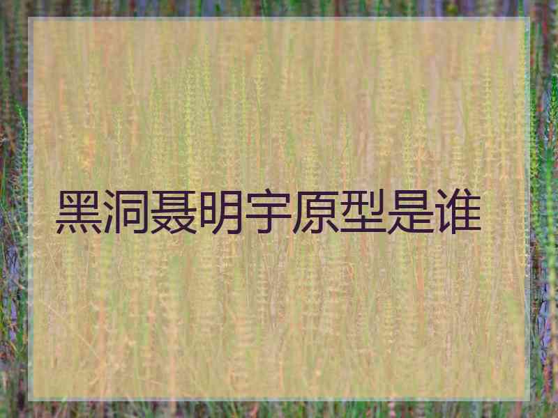 黑洞聂明宇原型是谁