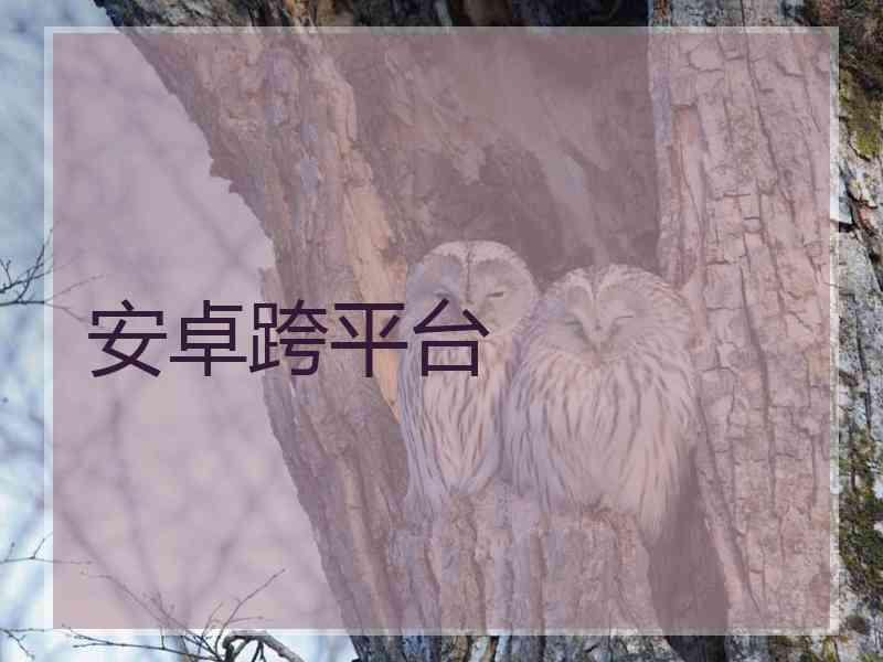 安卓跨平台
