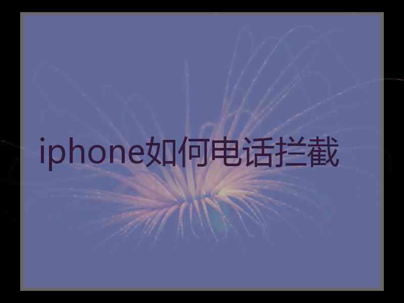 iphone如何电话拦截