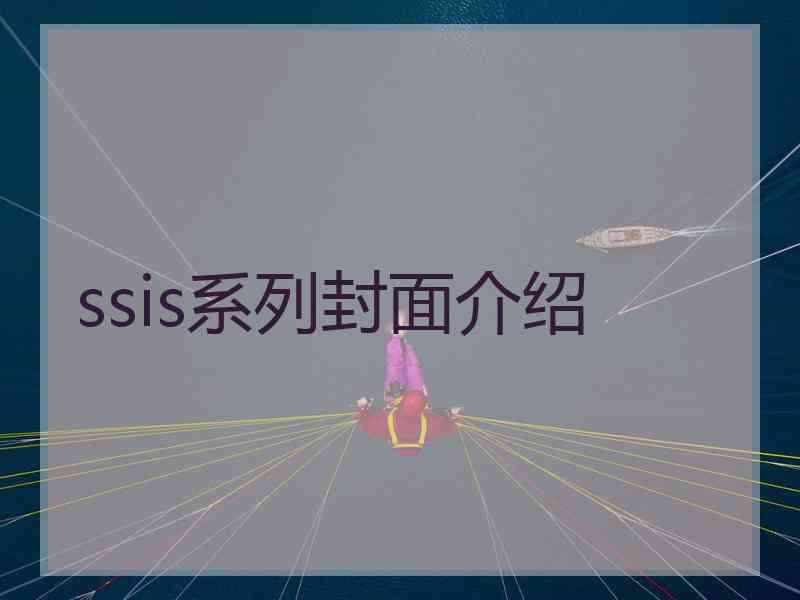 ssis系列封面介绍