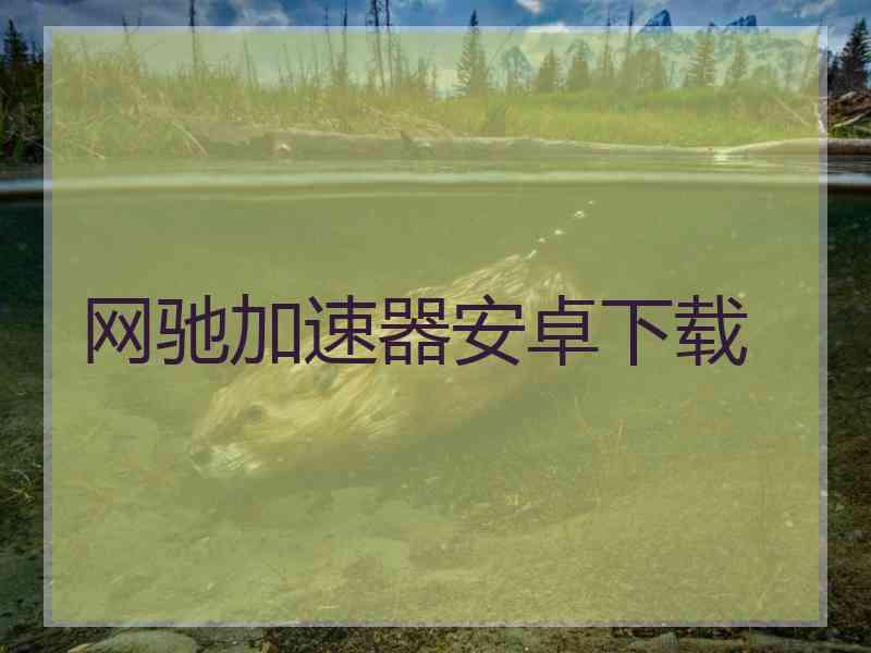 网驰加速器安卓下载