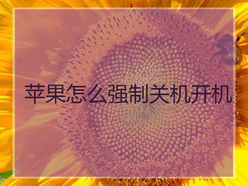 苹果怎么强制关机开机