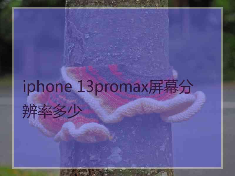 iphone 13promax屏幕分辨率多少