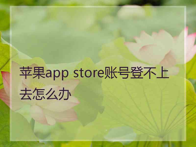 苹果app store账号登不上去怎么办