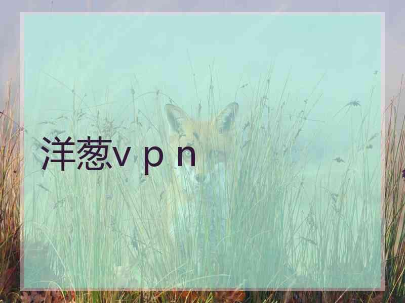 洋葱v p n