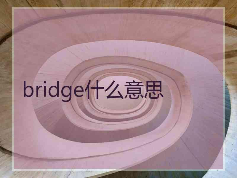 bridge什么意思