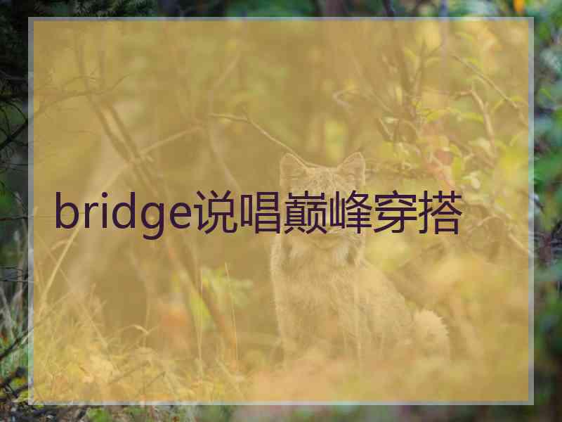bridge说唱巅峰穿搭
