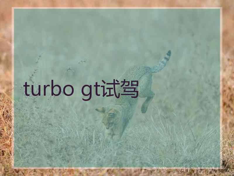 turbo gt试驾