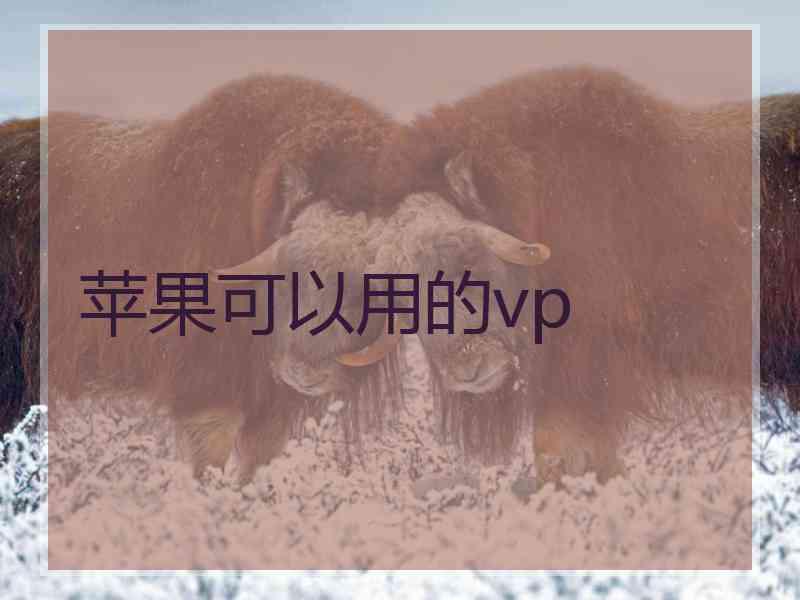 苹果可以用的vp