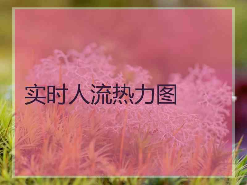 实时人流热力图