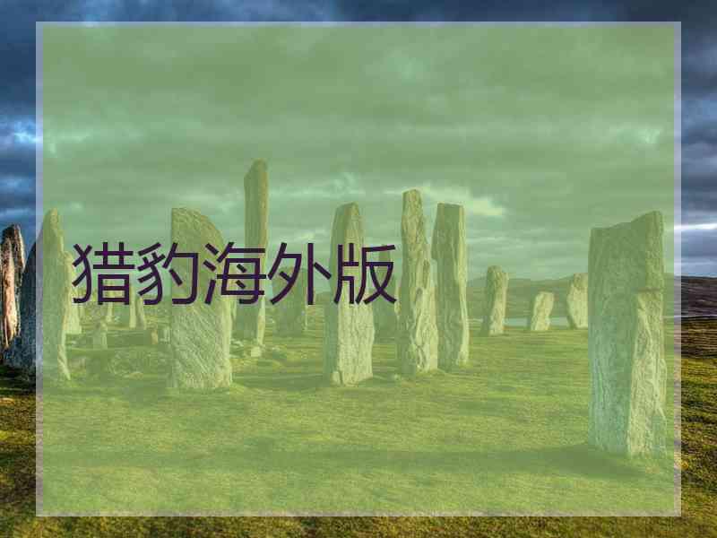 猎豹海外版