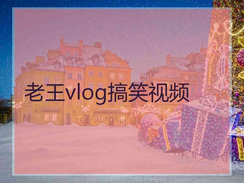 老王vlog搞笑视频