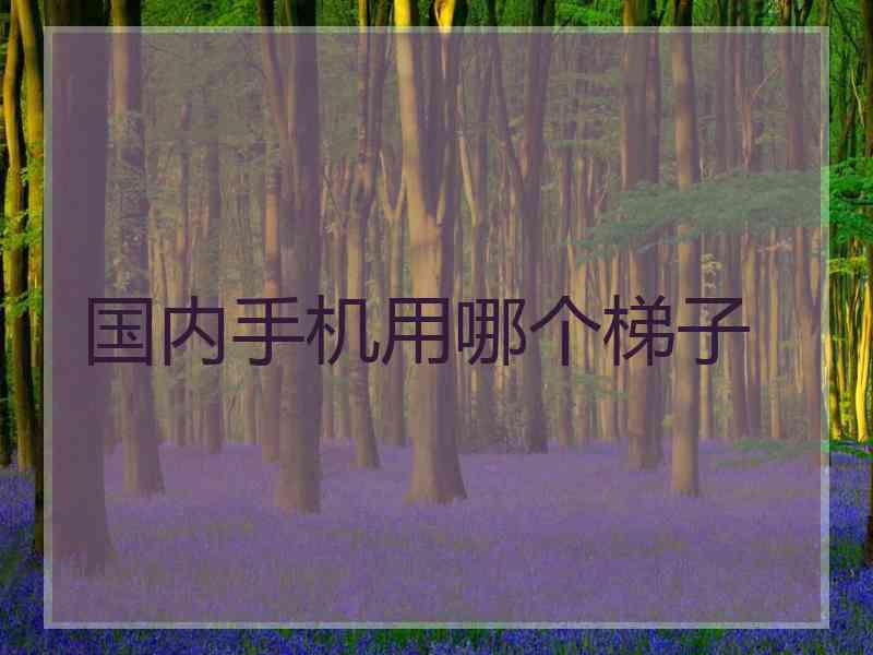 国内手机用哪个梯子