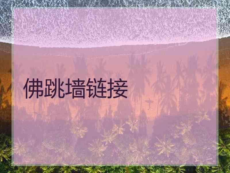 佛跳墙链接