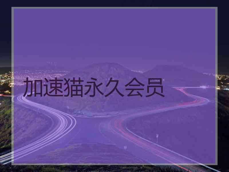 加速猫永久会员