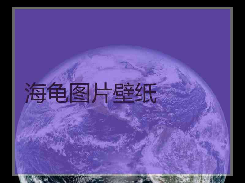 海龟图片壁纸