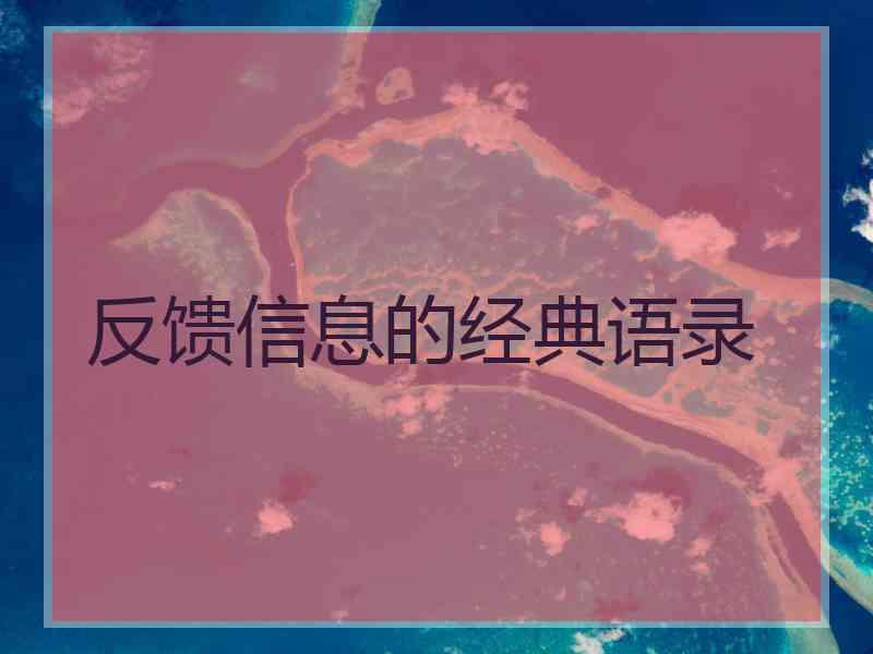 反馈信息的经典语录
