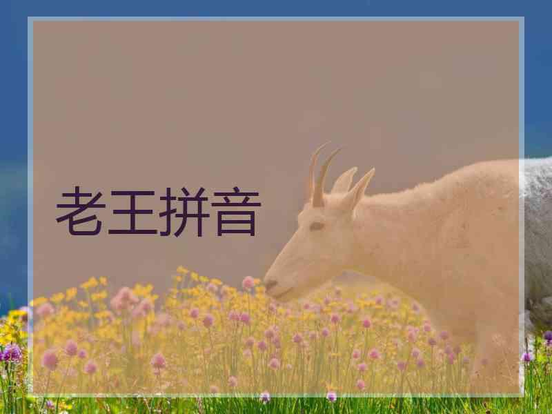 老王拼音
