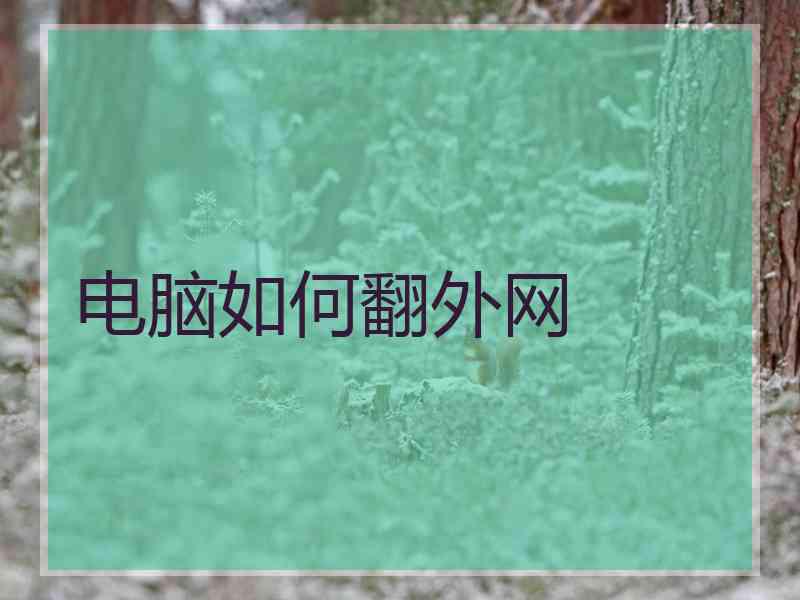 电脑如何翻外网