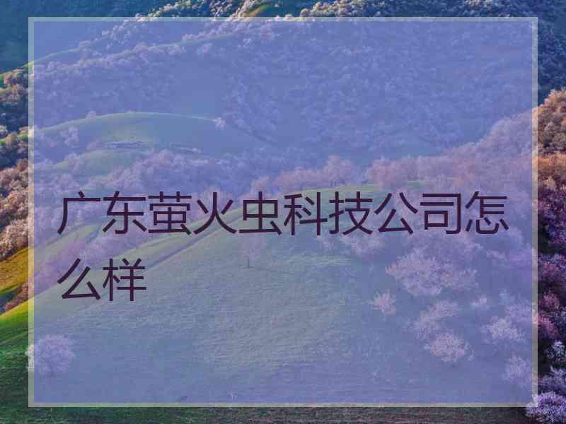广东萤火虫科技公司怎么样