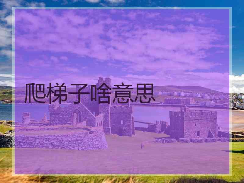 爬梯子啥意思