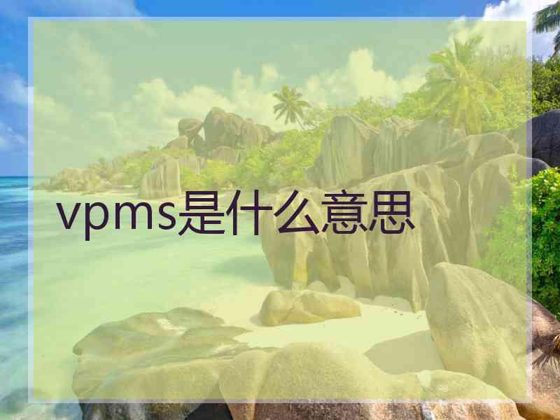 vpms是什么意思