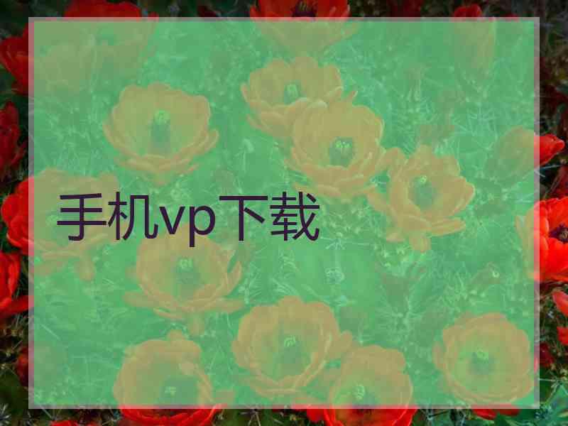 手机vp下载