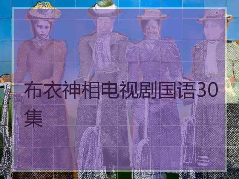 布衣神相电视剧国语30集