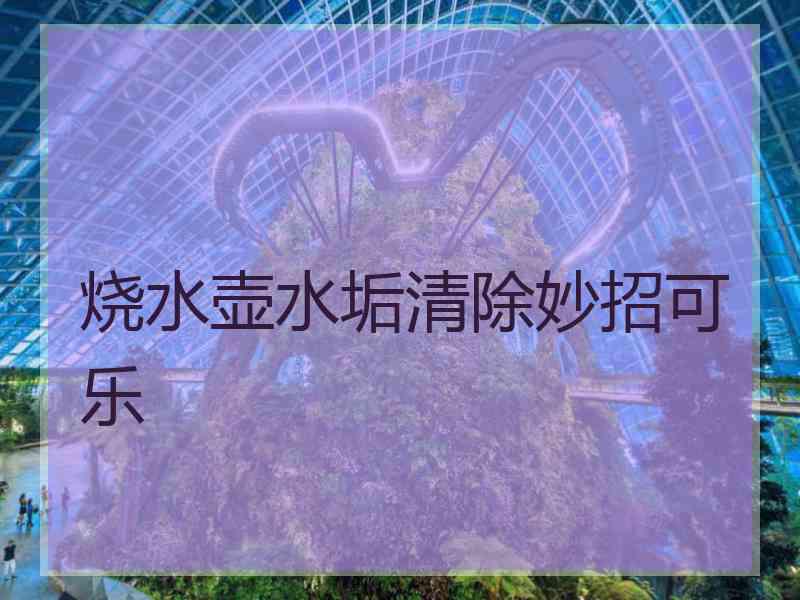 烧水壶水垢清除妙招可乐