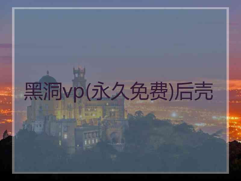 黑洞vp(永久免费)后壳