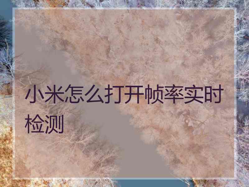 小米怎么打开帧率实时检测