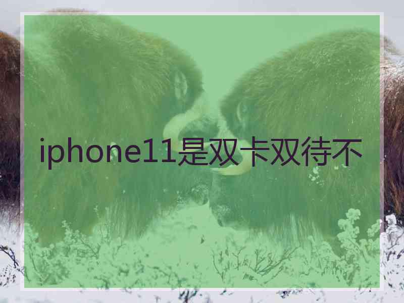 iphone11是双卡双待不