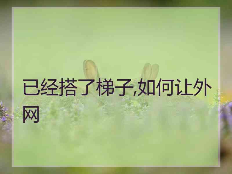已经搭了梯子,如何让外网
