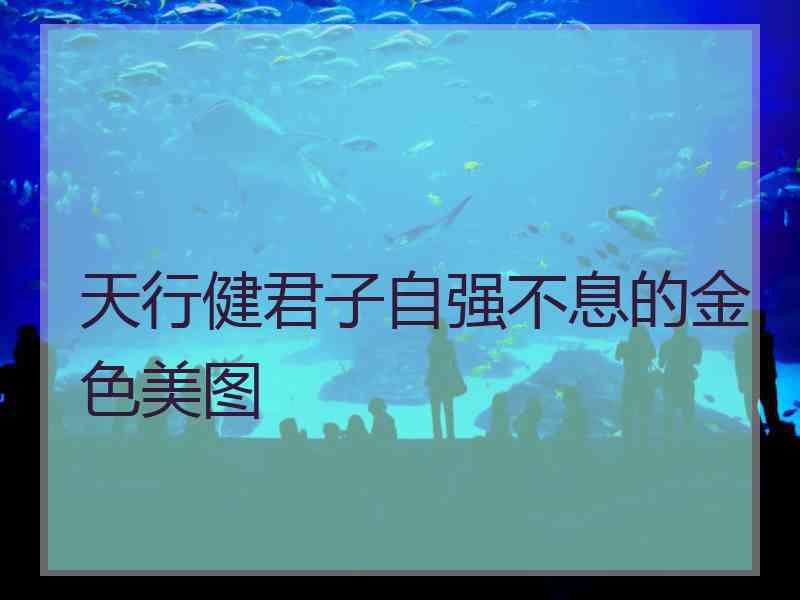 天行健君子自强不息的金色美图