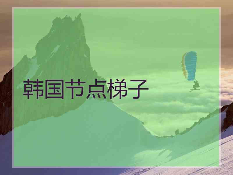 韩国节点梯子