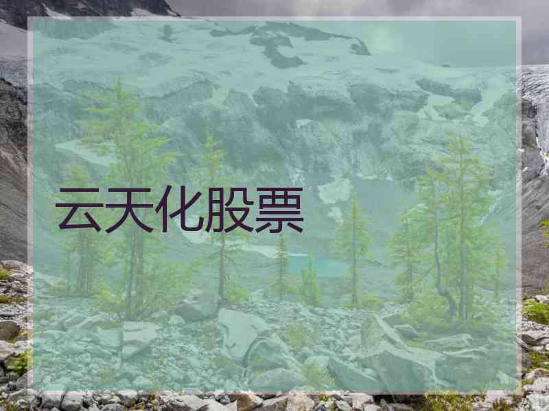 云天化股票
