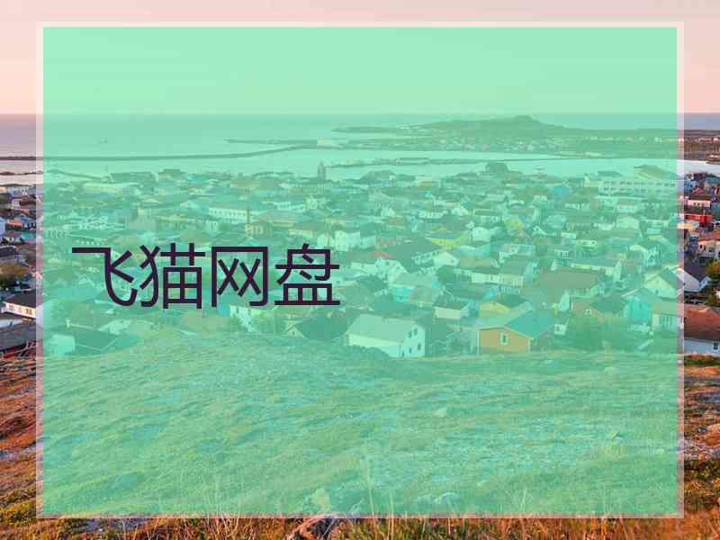 飞猫网盘