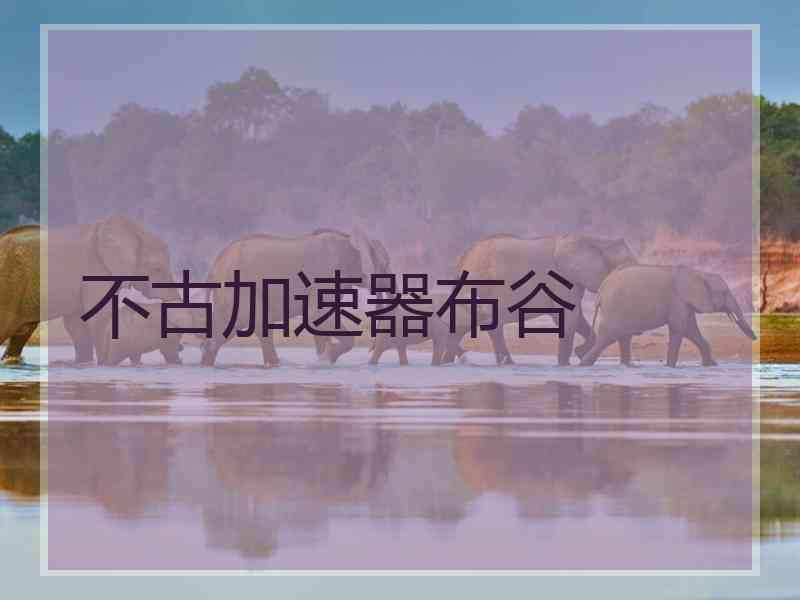 不古加速器布谷