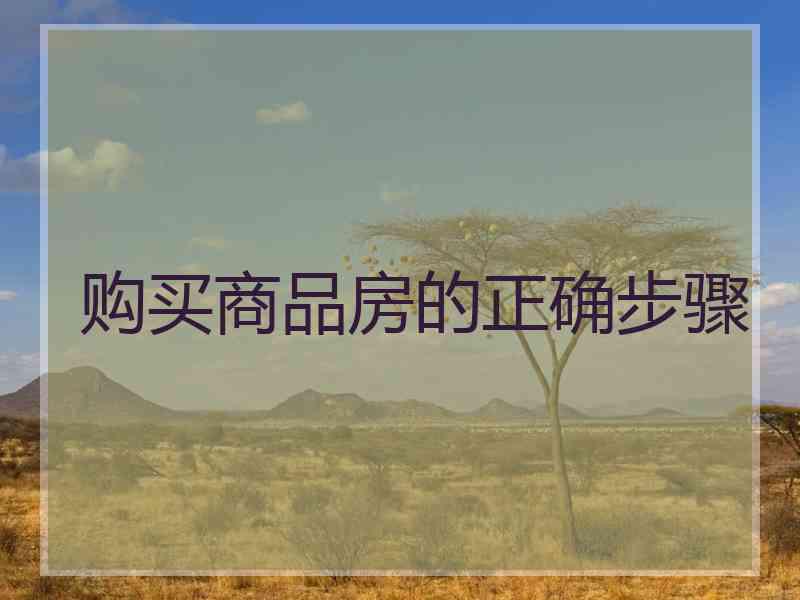 购买商品房的正确步骤
