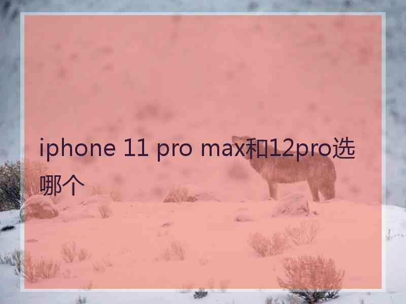 iphone 11 pro max和12pro选哪个
