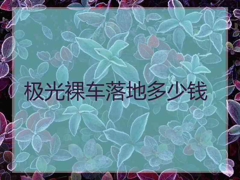 极光裸车落地多少钱