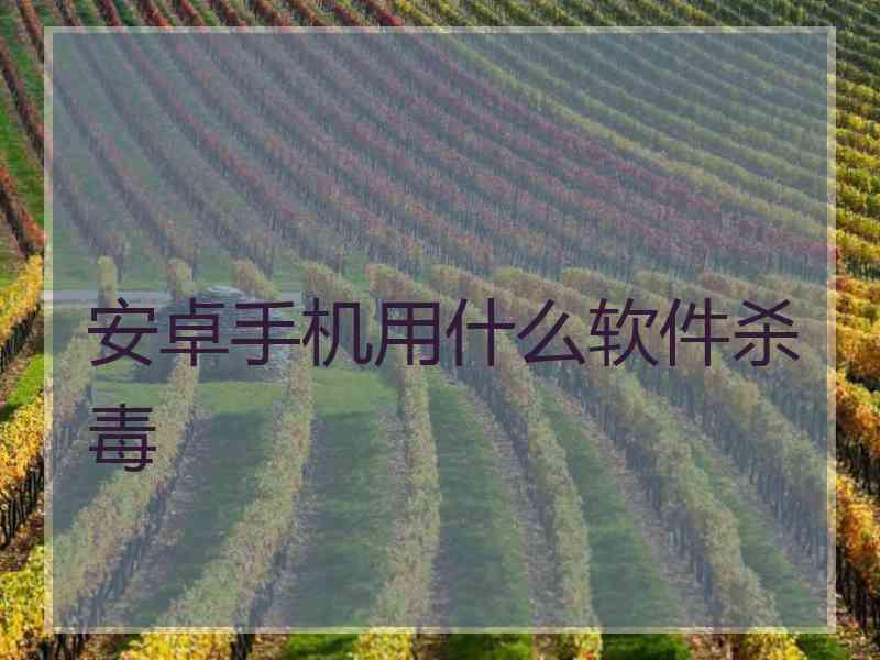 安卓手机用什么软件杀毒
