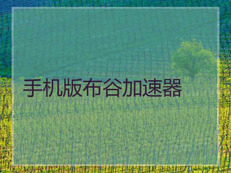 手机版布谷加速器