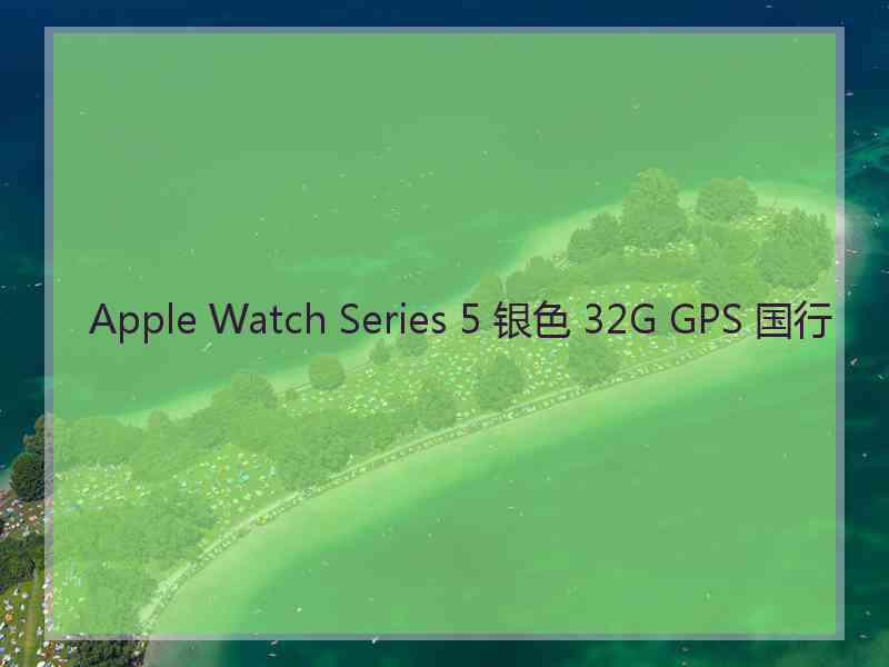 Apple Watch Series 5 银色 32G GPS 国行