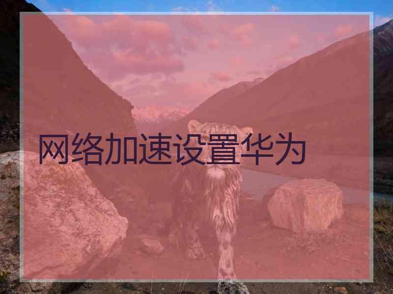 网络加速设置华为