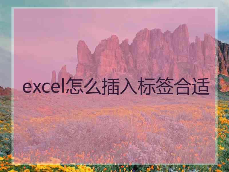 excel怎么插入标签合适