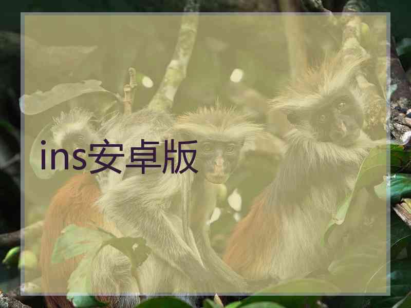ins安卓版