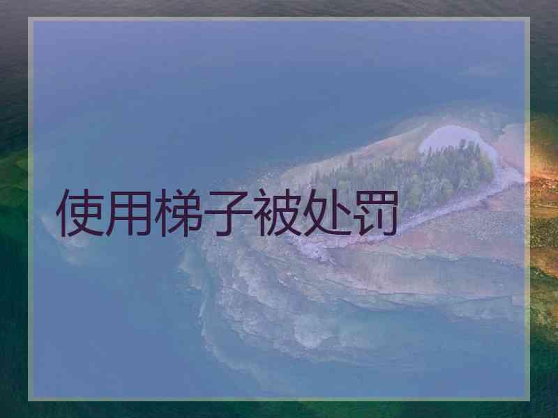 使用梯子被处罚