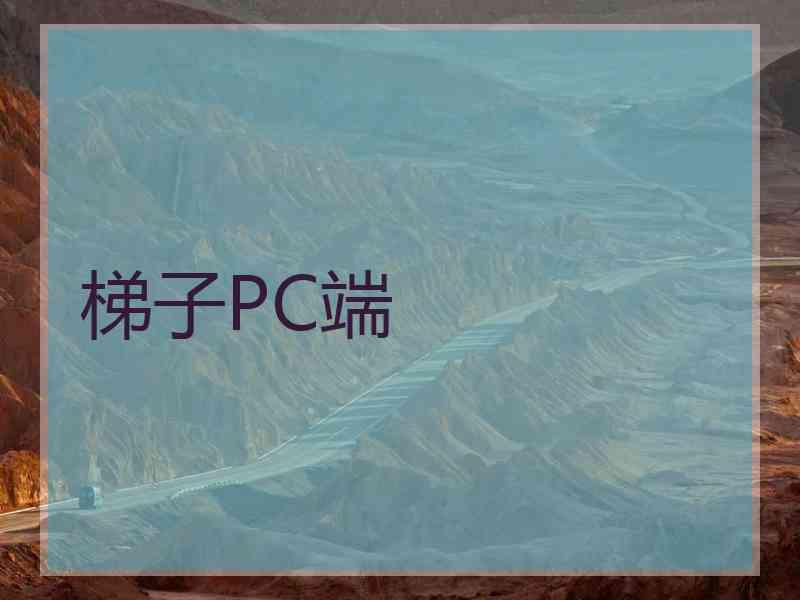 梯子PC端
