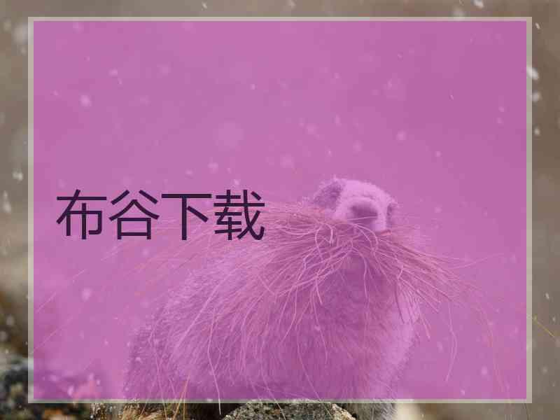 布谷下载